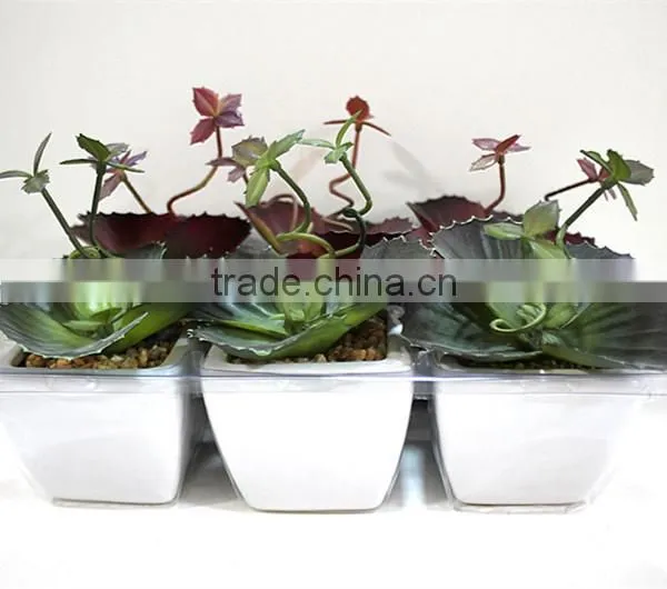 SJLJ013384 artificial plant / fake plastic succulent plant for office / restaurant decoration