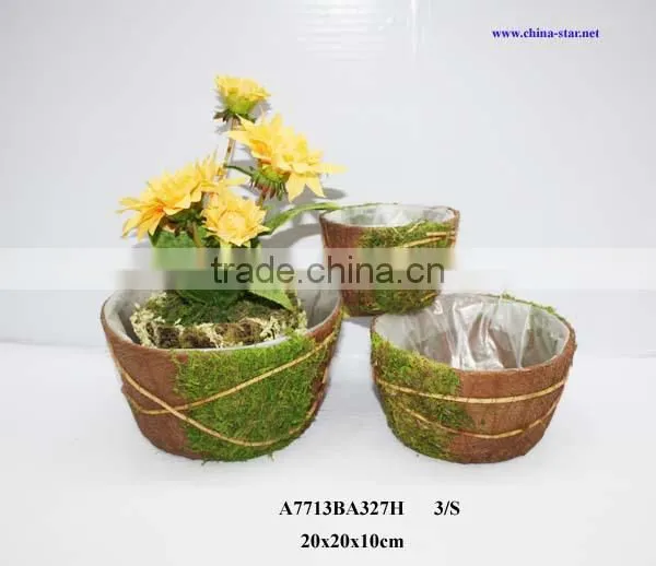 moss coco planter