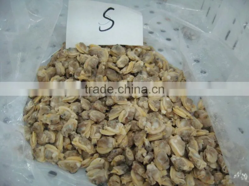 Short necked clam meat