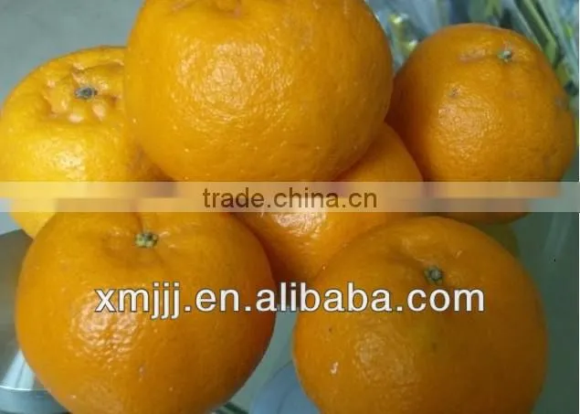 mandarine orange