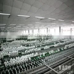 Jiangxi Zhisheng Industry Trade Co., Ltd. company overview - view 3