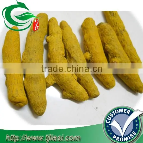 supply tumeric root for pungent spice