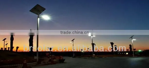 30W LED with 300W Fan, wind solar hybrid street light,Gold China supplier factory price