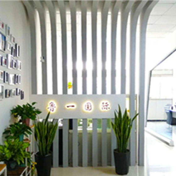 Shandong Luyi Vehicle Co., Ltd. company overview - view 1
