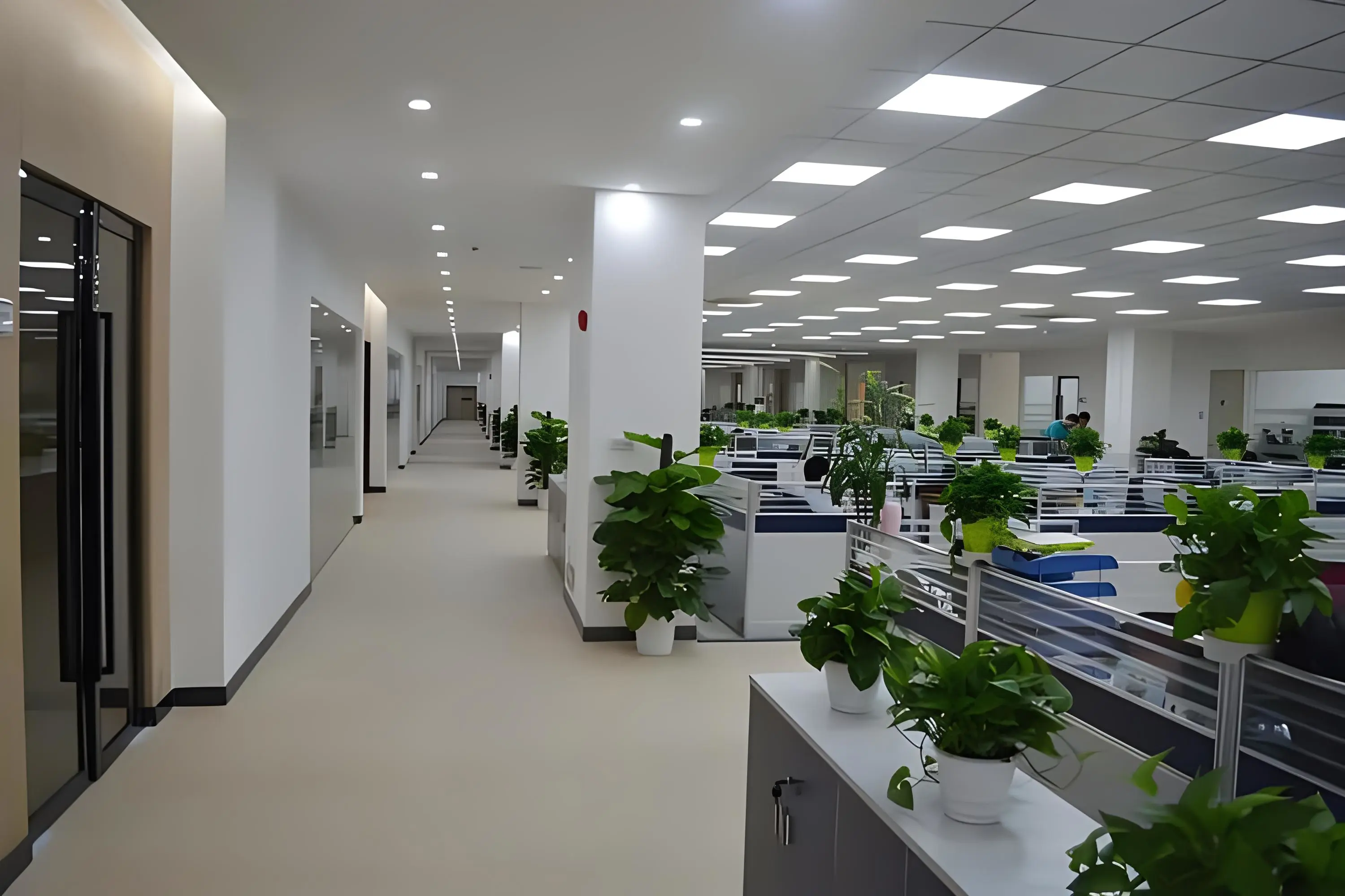 Shenzhen Lens International Logistics Co., LTD company overview - view 1