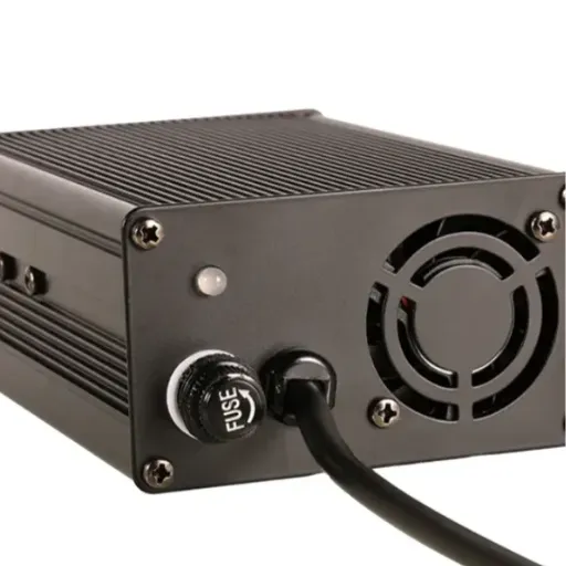 LiFePO4 battery charger (1)