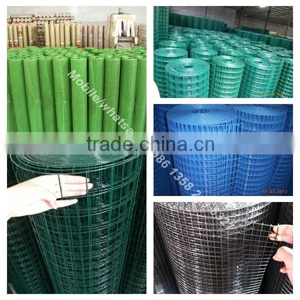 china facotry green color epoxy coated wire mesh
