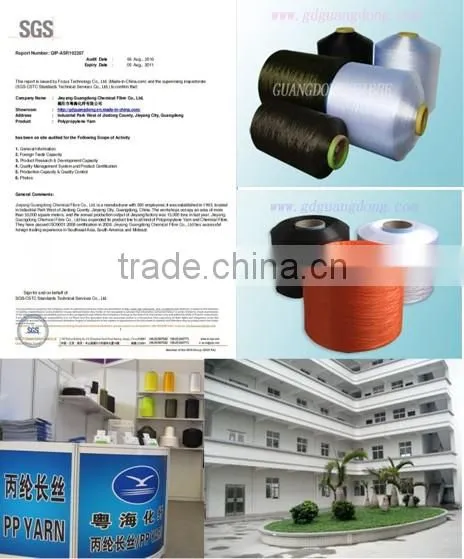50D to 3600D Intermingled PP Hollow Yarn