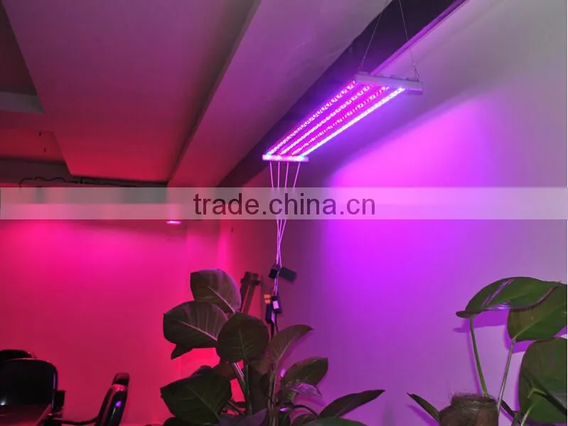 IP65 soft glue led grow strip, 5050 led grow strip plant, smd3528 led grow strip light