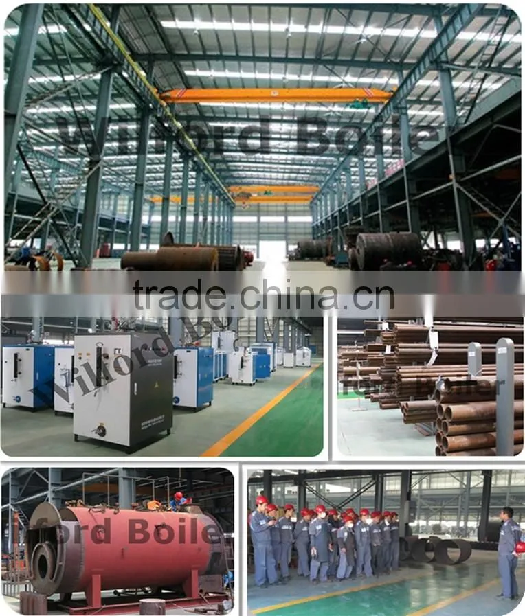 LSS Oil(Gas) Steam Generator