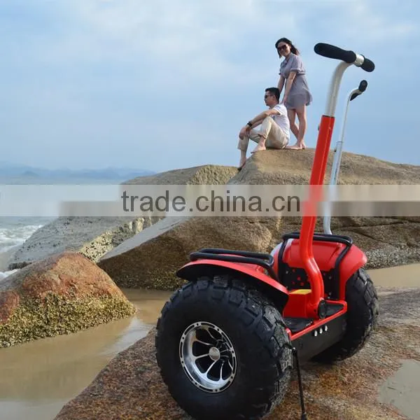 Facotry outlet 48V smart electric balance car