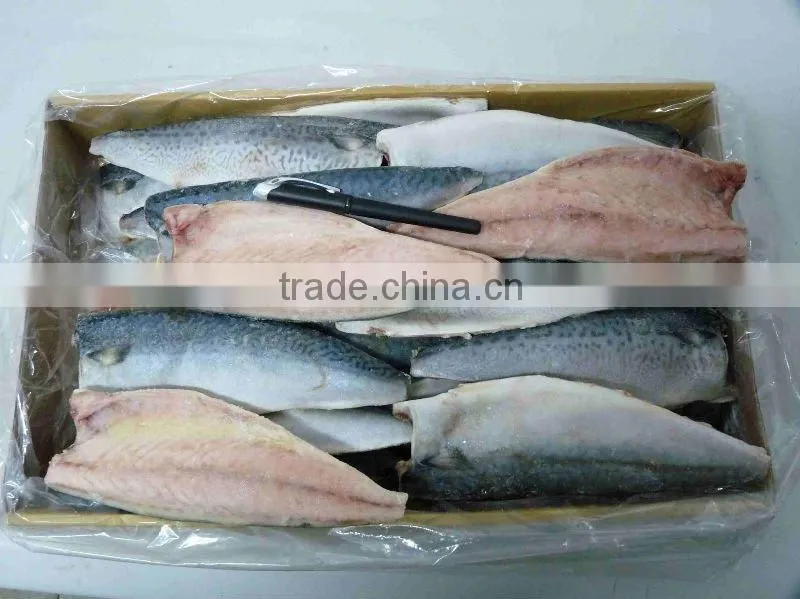 frozen mackerel fillets