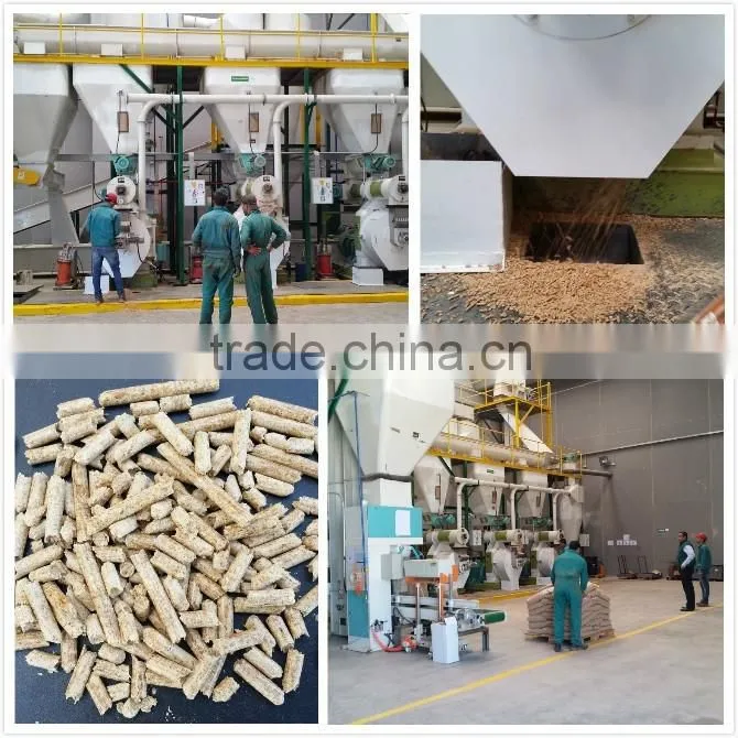 High fuel value 1.5-1.8t/h woodiness pellet production line