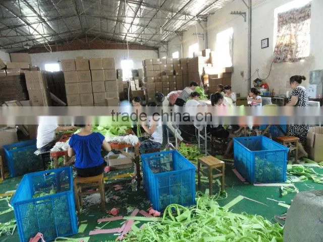 Latest Hot Selling Cellulose Sponge Wholesale