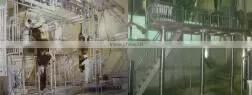 donkey slaughterhouse line donkey Pneumatic (Air-operated drive) Lifting Platform, Pneumatic Elevator donkey slaughter line