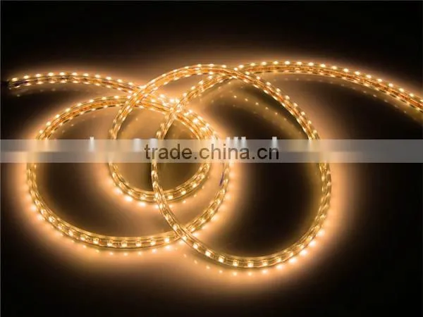 Waterproof 60leds/m 5050SMD Led Strip Light dove led lights