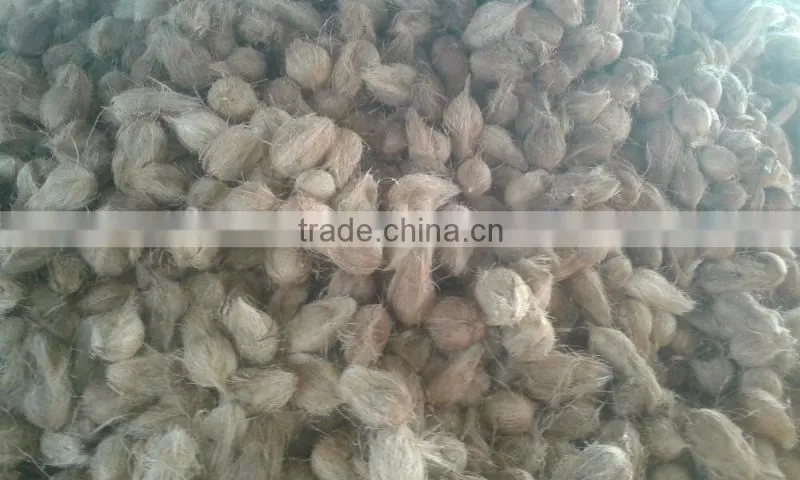Fresh Frozen Coconuts