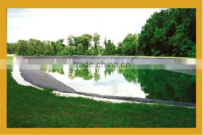 High Density Polyethylene Geomembrane for Fish Farming Pond Liner
