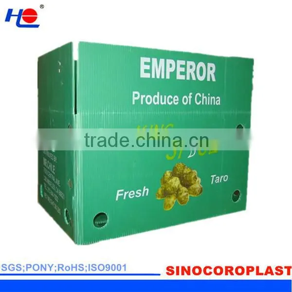 Plastic Corrugated Box Container