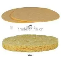 Magic Compressed Cellulose Sponge for Kitchen Cleaning