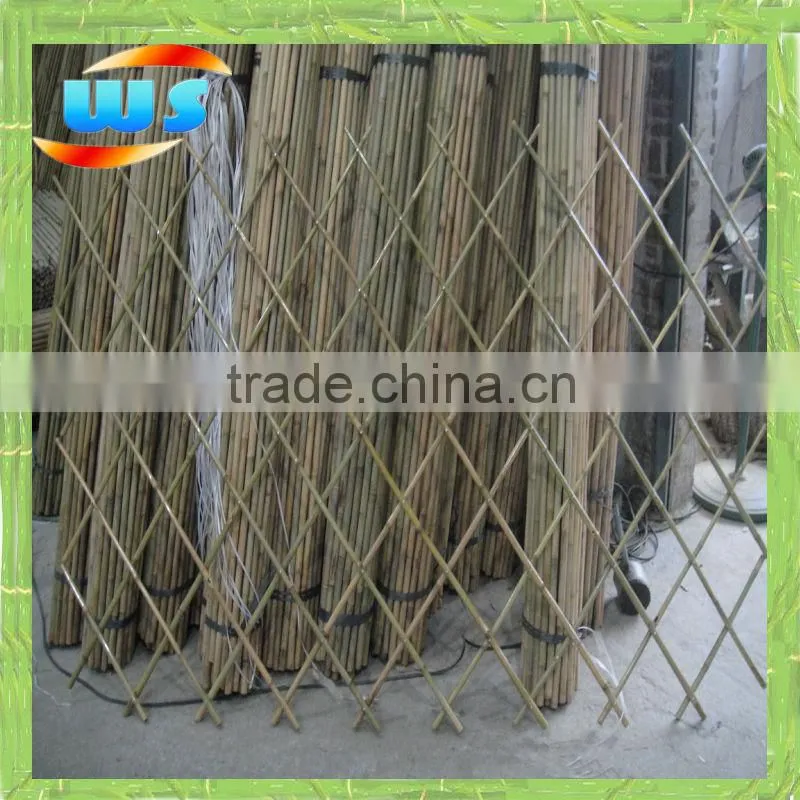 Black fern fence for decoration