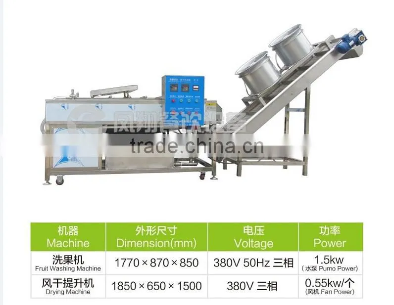 HP-220 + DM-15 fruit washing and drying machine
