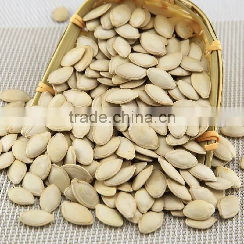 wholesale RAW pumpkin seeds ton price