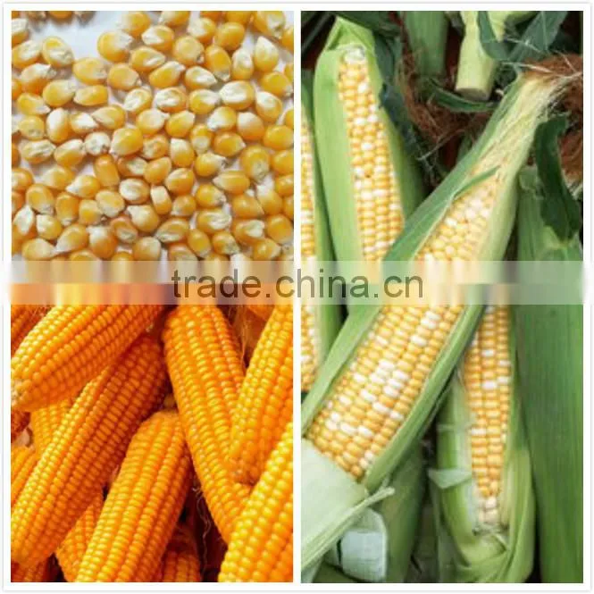 Best small threshing machine | corn husk peeling machine CE approved