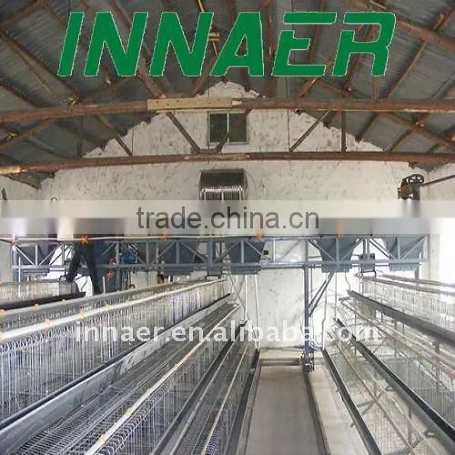 Poultry layers/broilers automatic feeding system