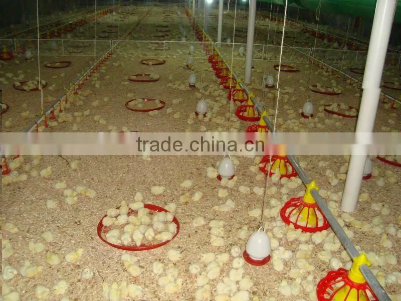 Height Adjustable Automatic Auger Pan Feeder Broiler Machine