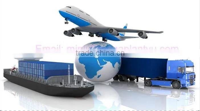 Egg Lrregular shape food sweet candy packing machine with date printing function