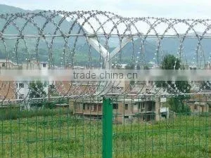 High Quality and Low Price Electro&Hot Dipped Galvanized Barbed Spiral Wire Iowa(Joint Venture Manufacturer)