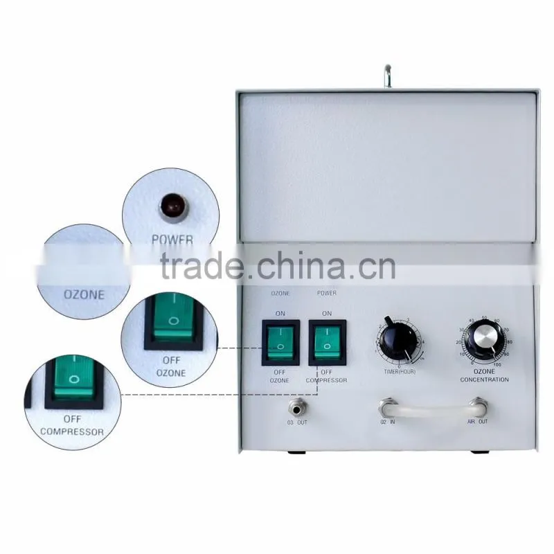 5g/h water air filter machine home use ozone generator