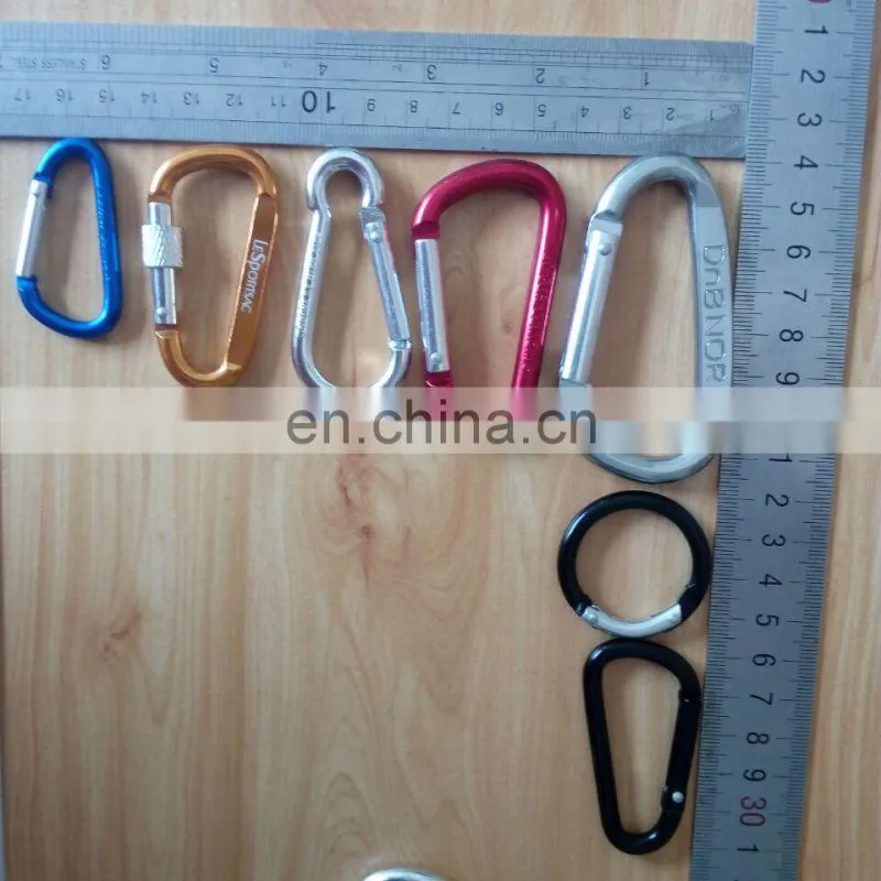 Factory hot selling carabinner key chain