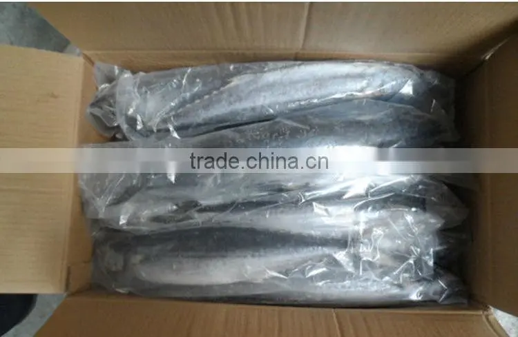 Frozen Seafood Mackerel