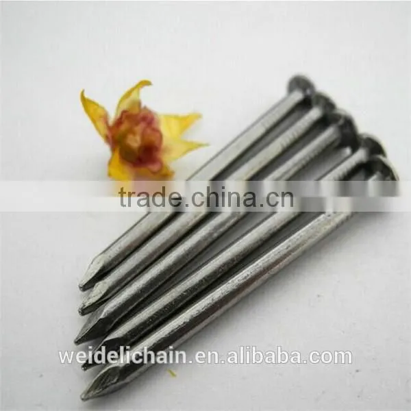 Construction Wire Nails Supplier/Wire Nail Price