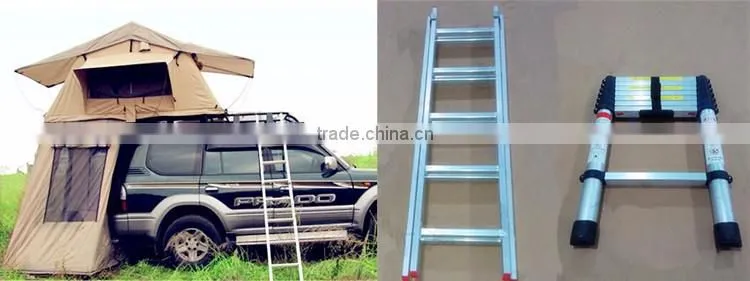 Camping Mosquito Net Fishing Play Garden Luxury Hotel Rooftop Outdoor Car Canvas Folding Roof Tent
