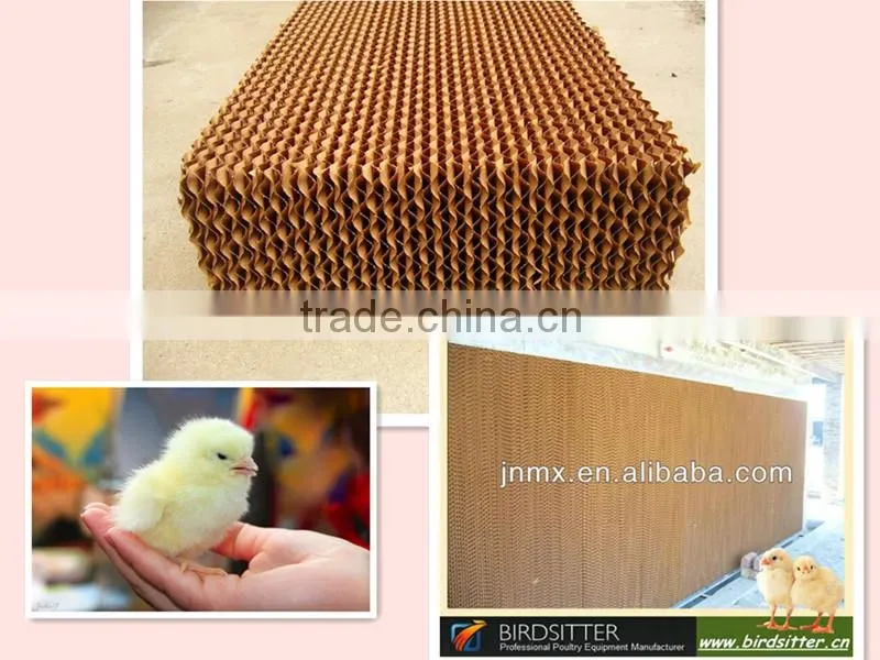 Designed High-Quality Evaporate Cooling Pad System for Chicken Husbandry