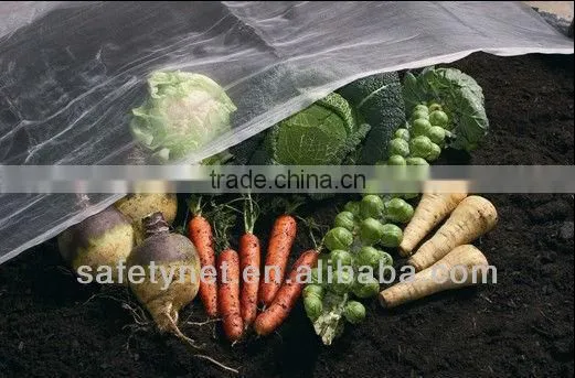 agricultural insect net With 30 x 20 ,anti-wind net