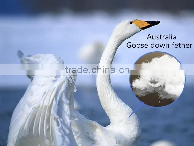 China Duck Down And Feather Quilt Golden Supplier For Hotel YKY394