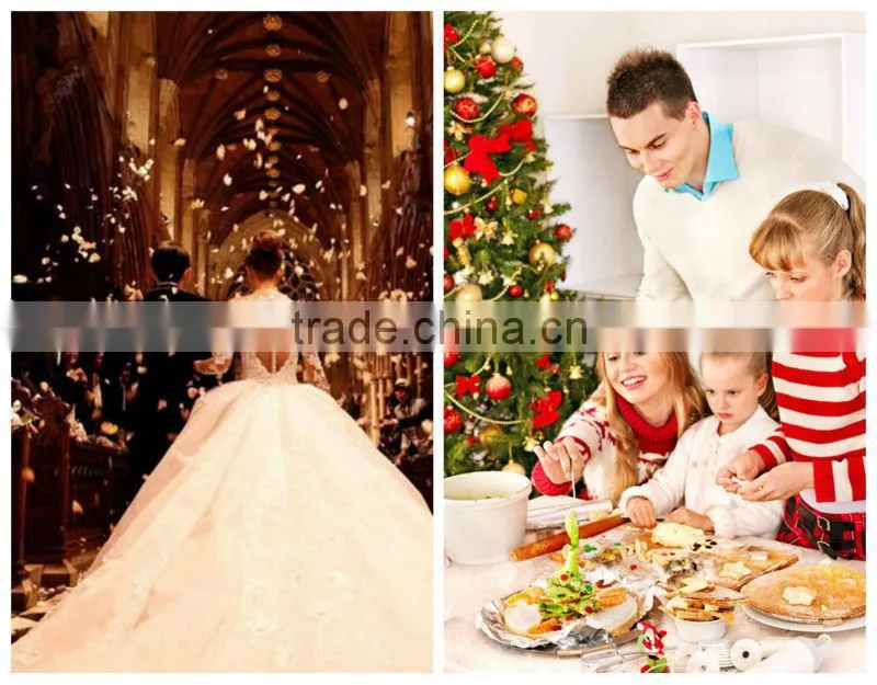 winter flower cheap china real touch artificial flower