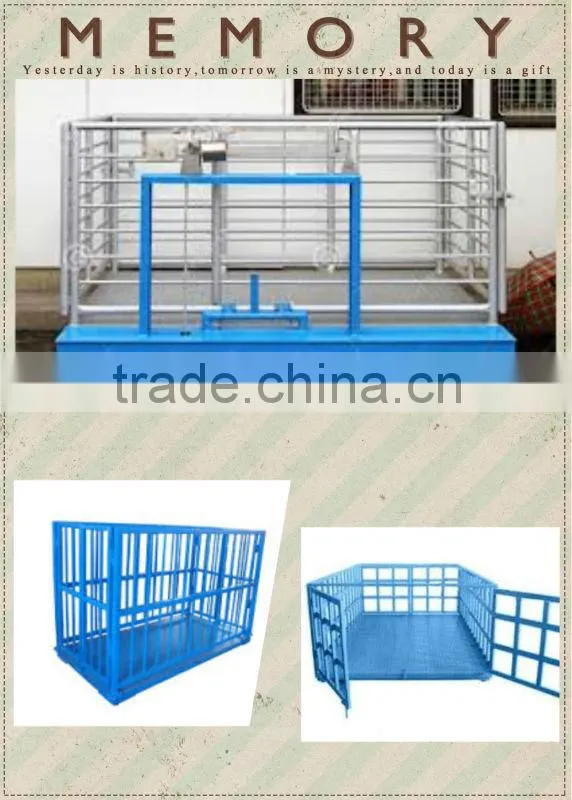 livestock platform scales