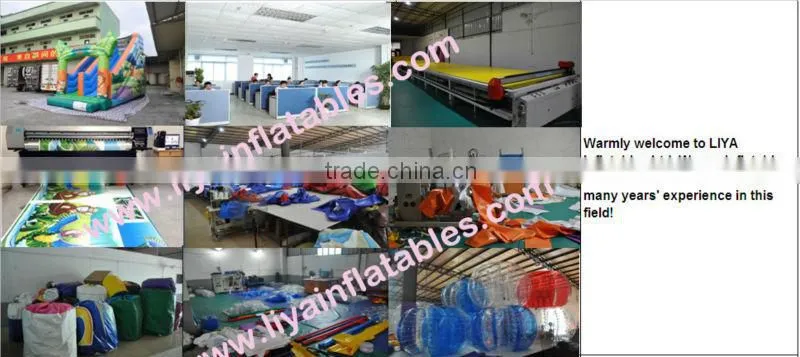inflatable toy ,inflatable jumping castle toy with frozen slide
