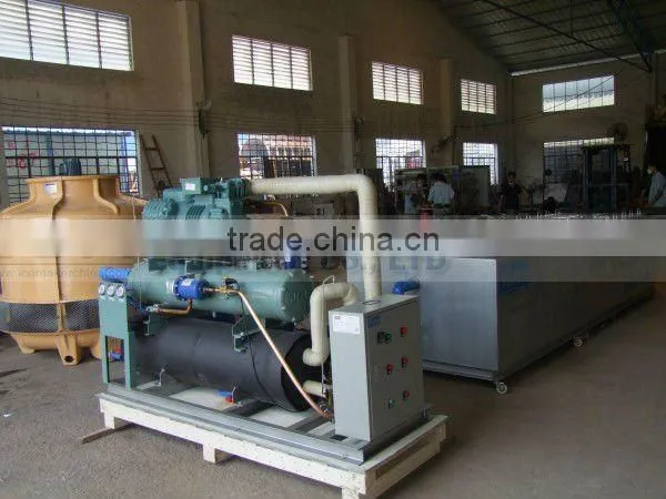 Commercial 10000kg/day automatic block ice machine for Africa