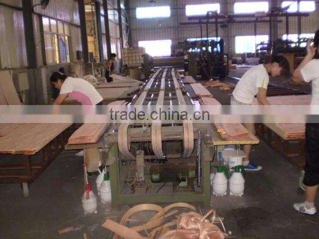 wood veneer laminate door skin panels