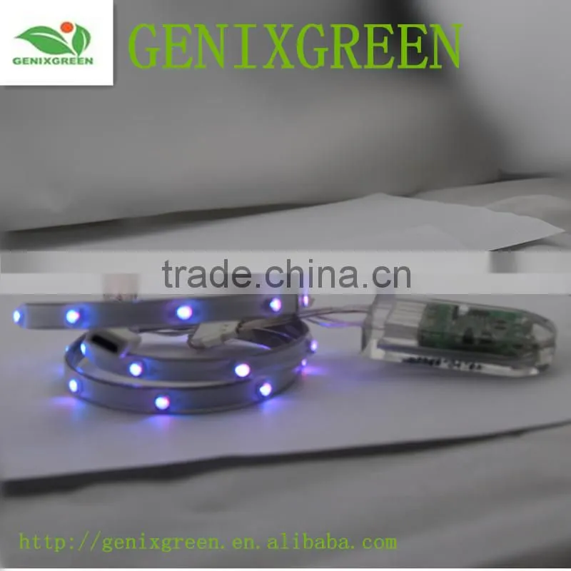 fashion led light shoes 2016 hot new product simulation led light for shoes