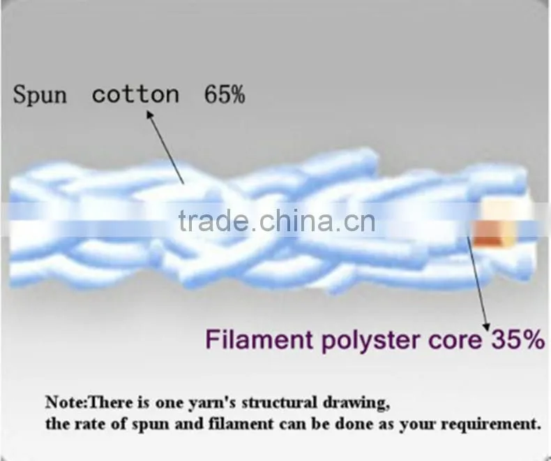 50/2 High Strength Tenacity Polyester Core Spun Sewing Thread For Frankie Sandford