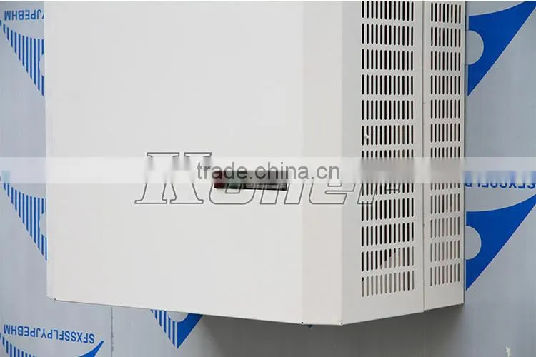 easy installation cold chiller room with mono block condensing unit