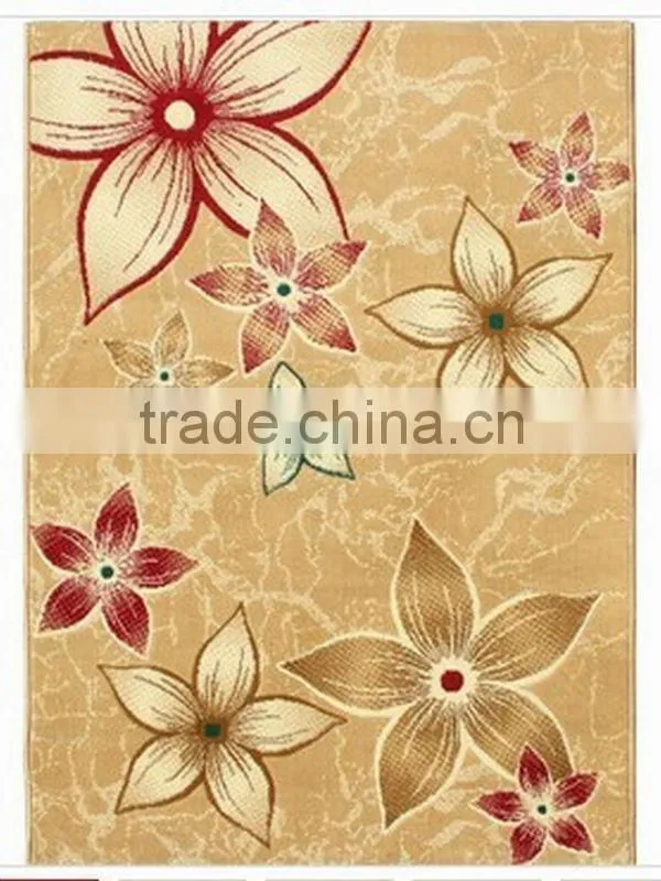 modern indoor mat / rugs