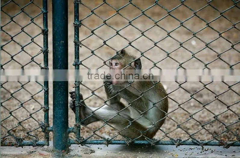 galvanized used chain link site fence in metal